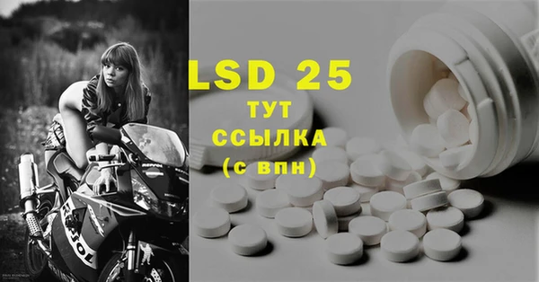 ГАЛЛЮЦИНОГЕННЫЕ ГРИБЫ Беломорск