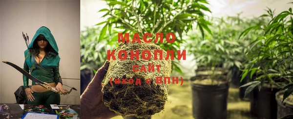 spice Богородск