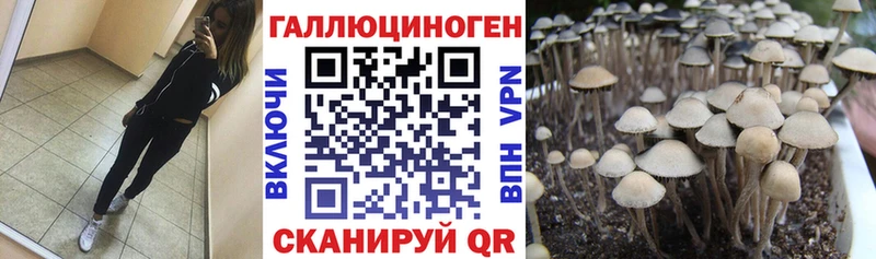 Галлюциногенные грибы Psilocybine cubensis  Бугульма 