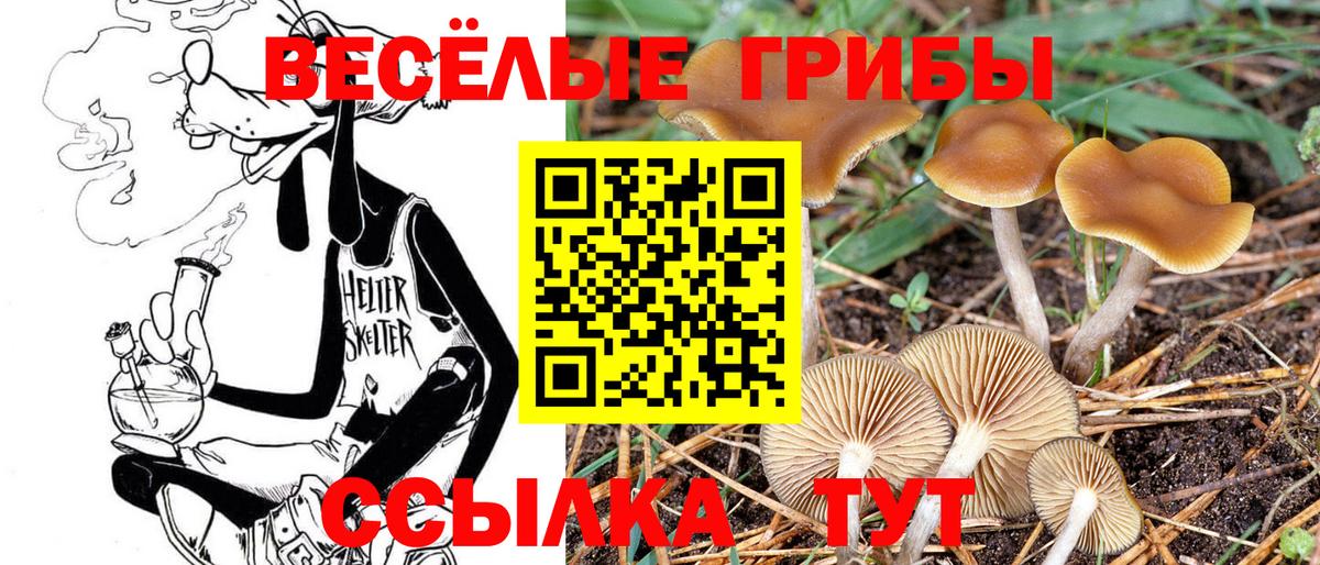 Галлюциногенные грибы GOLDEN TEACHER Бугульма